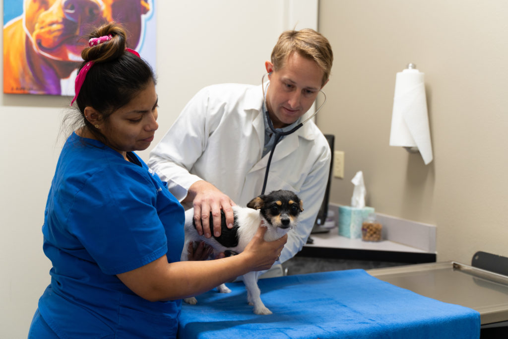 Firehouse Makes An Impact Through Giving Firehouse Animal Health Austin