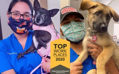 Firehouse awarded top Austin workplace  For the third year, your veterinary hospital ranked among the best places to work