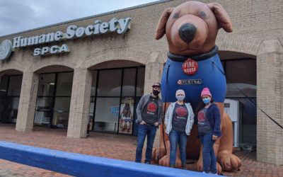 Firehouse worked with AHS and HEB to distribute hundreds of pounds of free cat and dog food to Austin pet parents. The pet food was graciously donated by HEB. Firehouse continued these events throughout the fall of 2021.