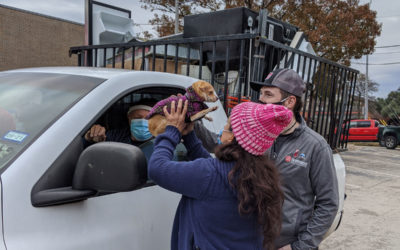 Firehouse worked with AHS and HEB to distribute hundreds of pounds of free cat and dog food to Austin pet parents. The pet food was graciously donated by HEB. Firehouse continued these events throughout the fall of 2021.