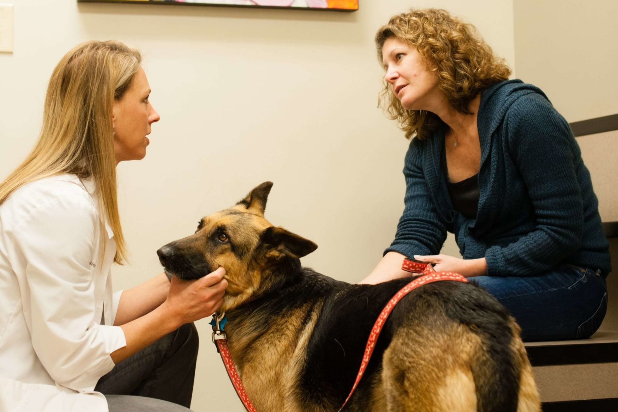 Dr Stacy Mozisek with client and dog