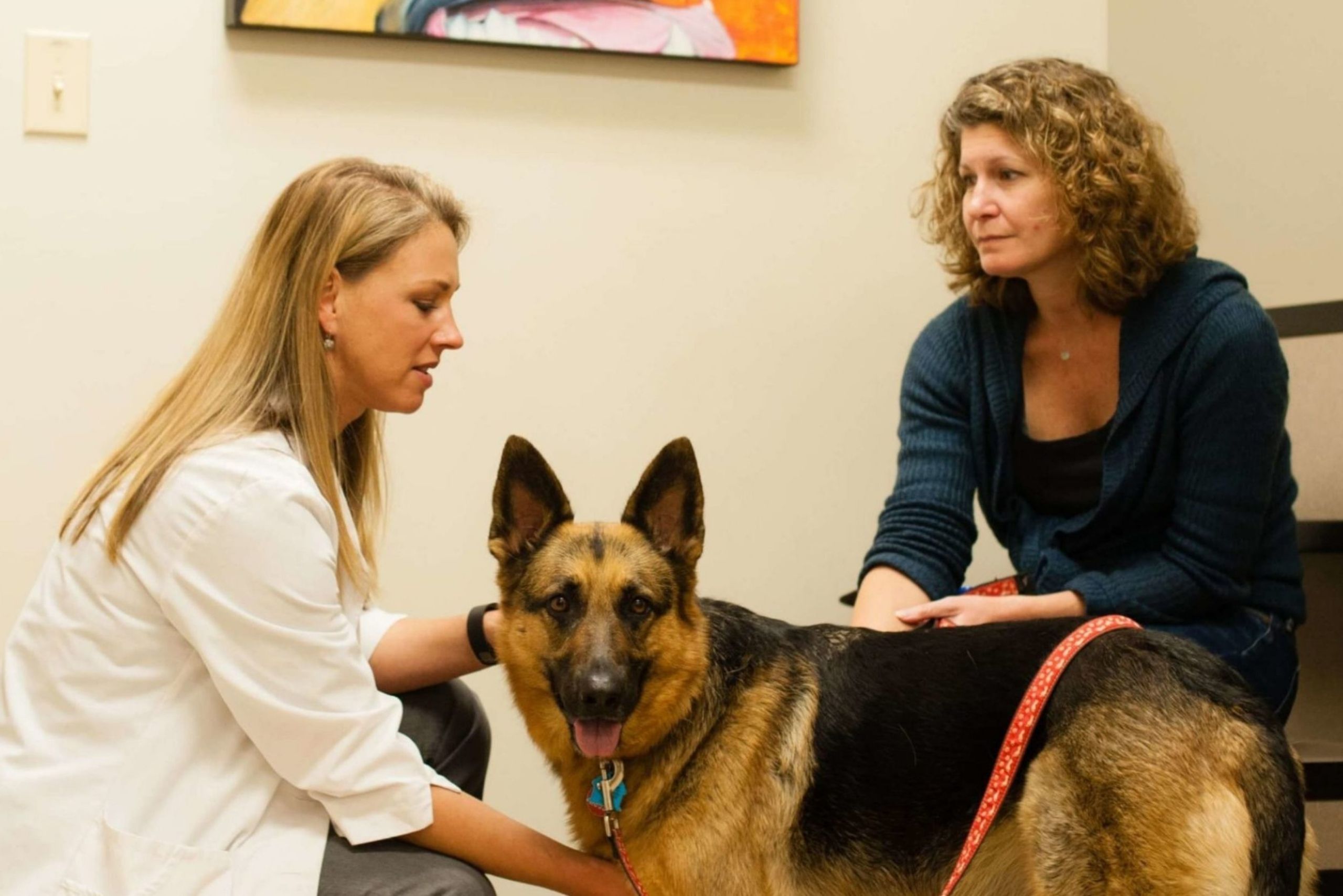 Dr Mozisek with client and dog