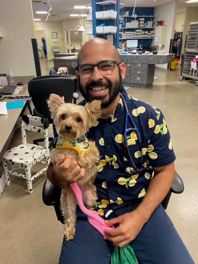 The Benefits Of Pet Dental Xrays Firehouse Animal Health Austin