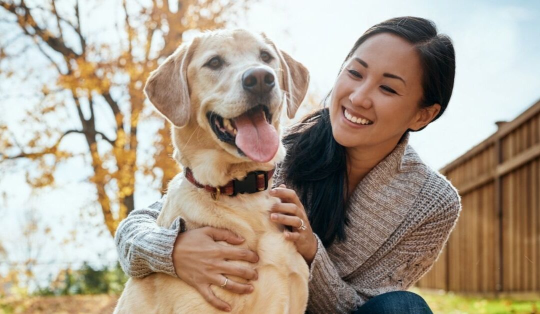 Wildlife Safety for Pets in Austin  5 ways to keep your cats & dogs safe from coyotes, bobcats, and owls