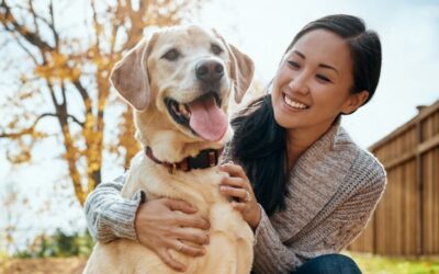 Wildlife Safety for Pets in Austin  5 ways to keep your cats & dogs safe from coyotes, bobcats, and owls