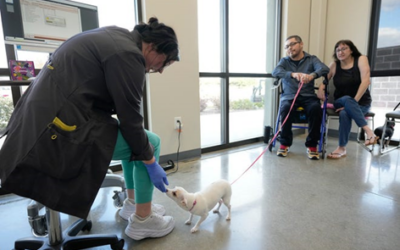 Helping Austin Families and Their Pets  Firehouse offers free care through Season for Caring