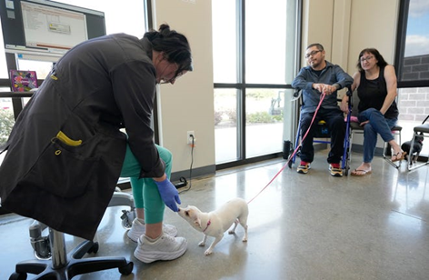 Helping Austin Families and Their Pets  Firehouse offers free care through Season for Caring